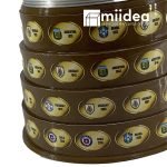 Copa América Réplica 3D 25cm - Imagen 2