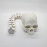 Craneo Flexible 3D 28cm