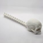 Craneo Flexible 3D 28cm - Imagen 2